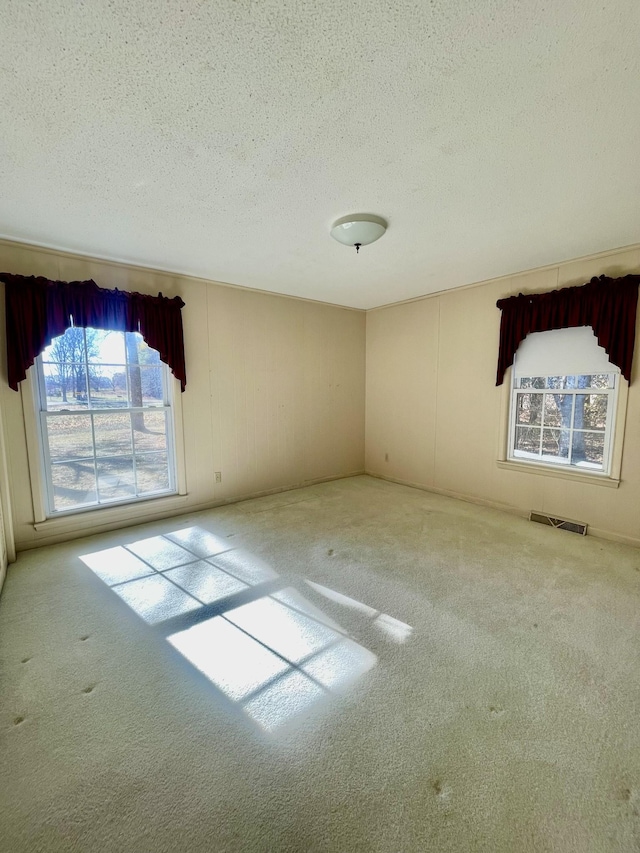 carpeted spare room with a textured ceiling and a healthy amount of sunlight