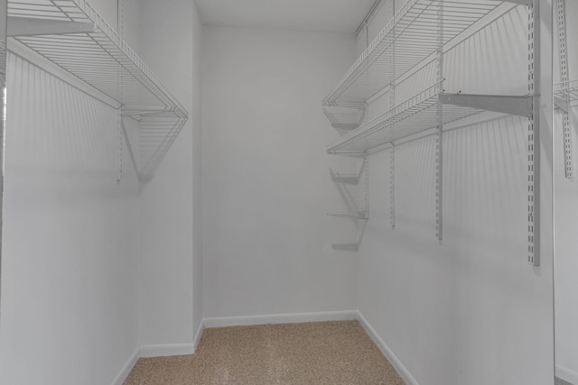 spacious closet featuring carpet floors