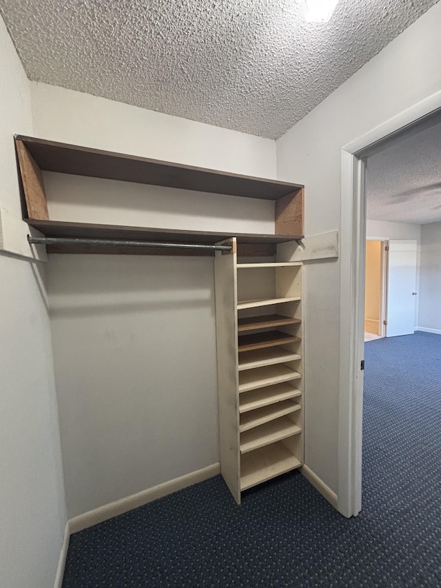 walk in closet featuring carpet