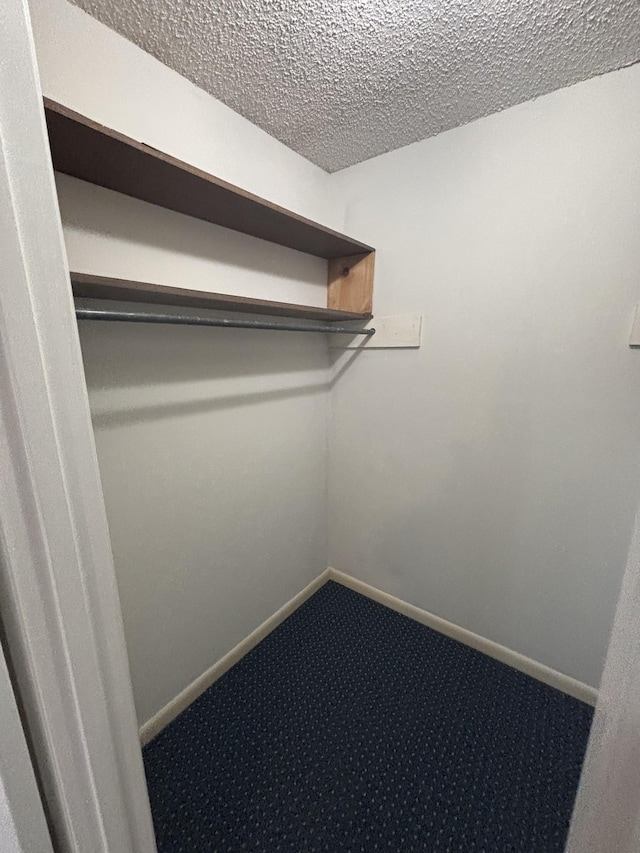 walk in closet with carpet