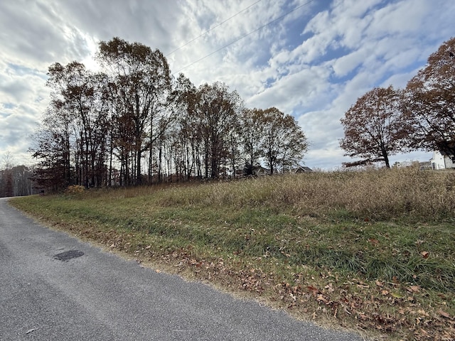 0 Cotton Ln, Leoma TN, 38468 land for sale