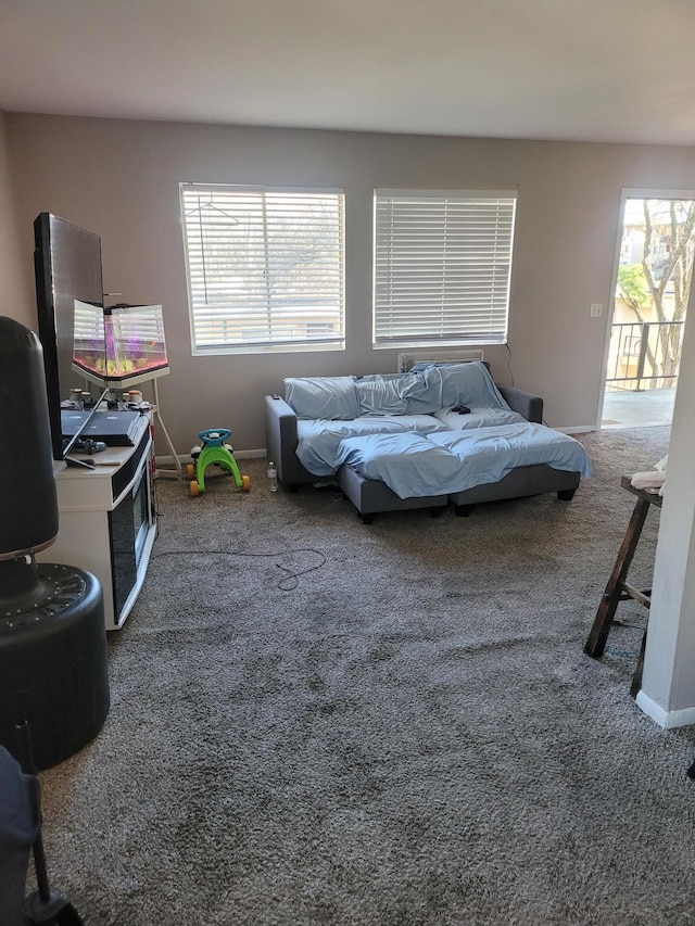 bedroom featuring access to exterior and carpet floors