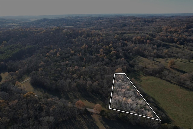 0 Old Stage Rd, Ardmore TN, 38449 land for sale