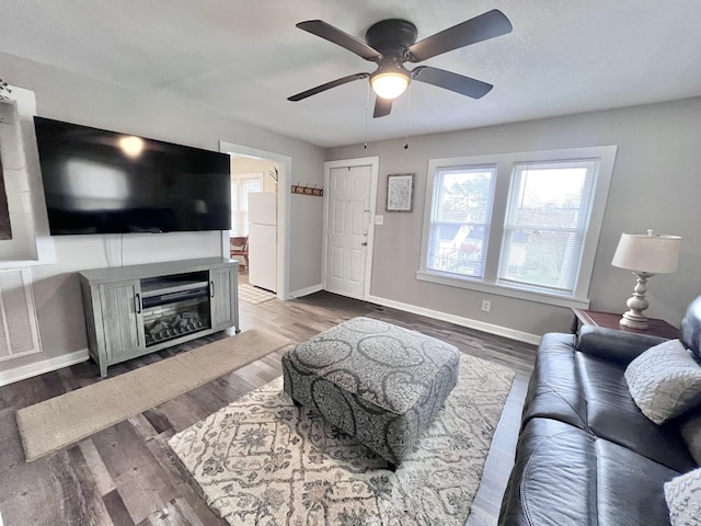 living room featuring ceiling fan and hardwood / wood-style flooring