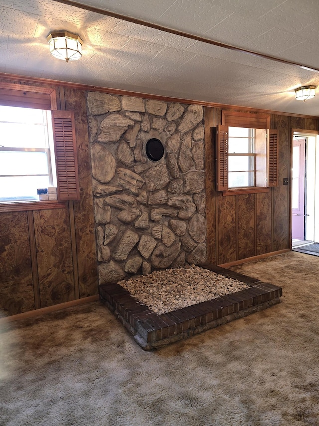 interior details featuring carpet, wood walls, and a textured ceiling