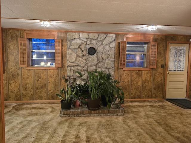 interior space with carpet, a textured ceiling, and wood walls