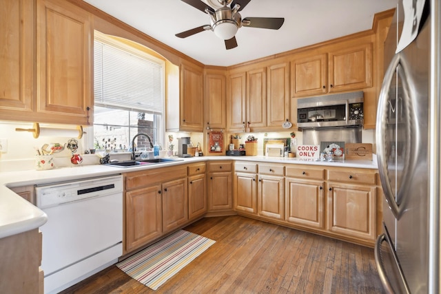 kitchen with ceiling fan, sink, wood-type flooring, and appliances with stainless steel finishes