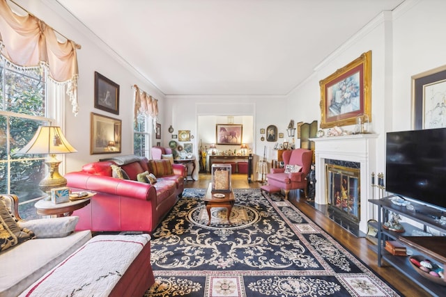 living room featuring crown molding, dark wood-type flooring, and a premium fireplace