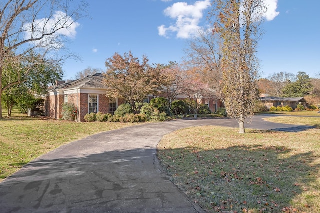 view of property hidden behind natural elements with a front lawn