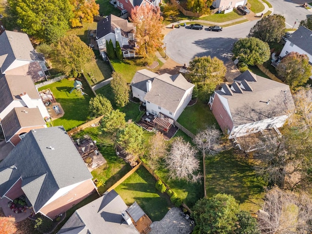 bird's eye view