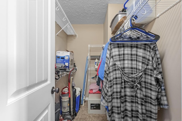 spacious closet featuring carpet flooring