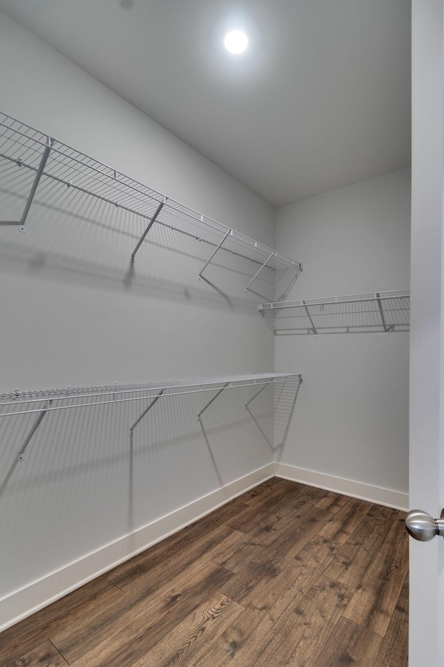 spacious closet with dark wood-type flooring