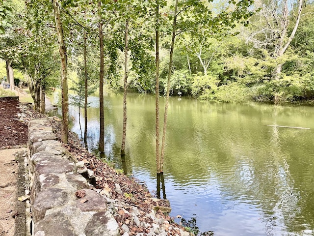 property view of water