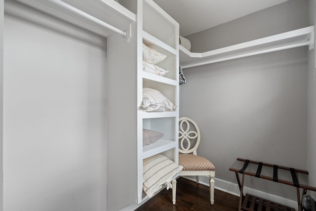 spacious closet with hardwood / wood-style floors