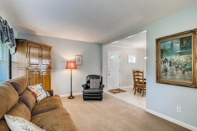 living room featuring carpet and a textured ceiling