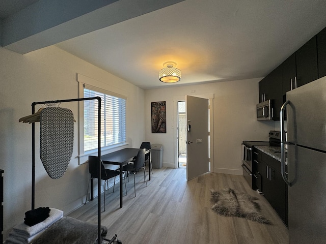 kitchen with light hardwood / wood-style floors and stainless steel appliances