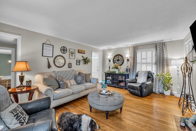 living room featuring crown molding, hardwood / wood-style floors, and a textured ceiling