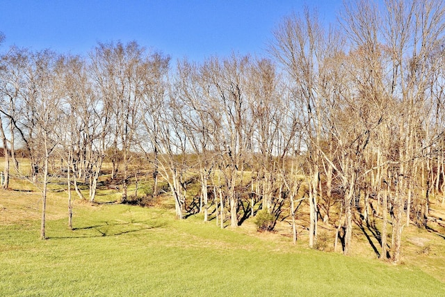 view of yard featuring a rural view