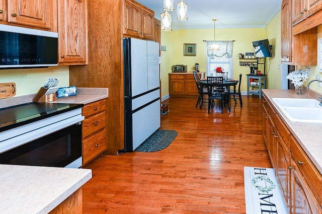 kitchen with sink, crown molding, a notable chandelier, decorative light fixtures, and white fridge