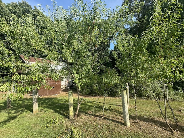 10795 Back Piney Rd, Bon Aqua, TN 37025 - view of green lawn