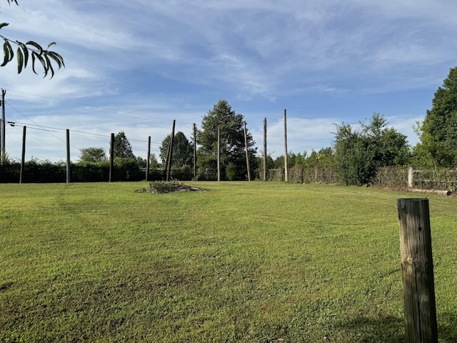 10795 Back Piney Rd, Bon Aqua, TN 37025 - view of grassy yard