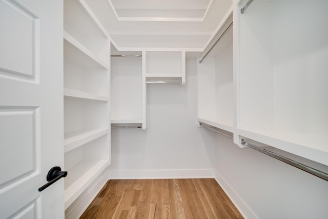 spacious closet with light wood-type flooring