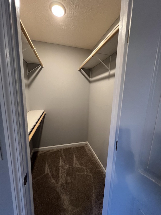 walk in closet featuring carpet flooring