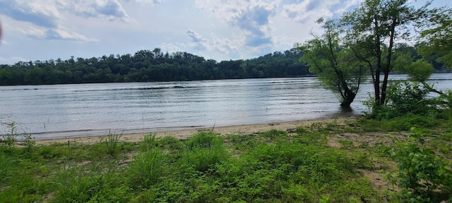 855 Hardin Bottom River Rd, Clifton, TN 38425