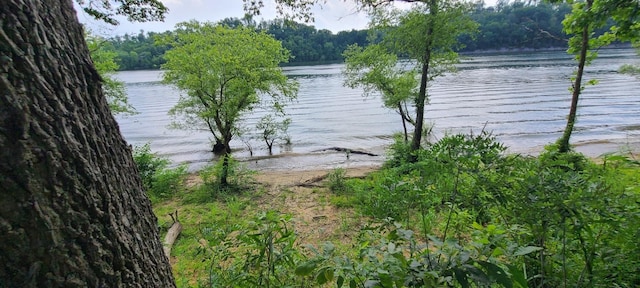 855 Hardin Bottom River Rd, Clifton, TN 38425