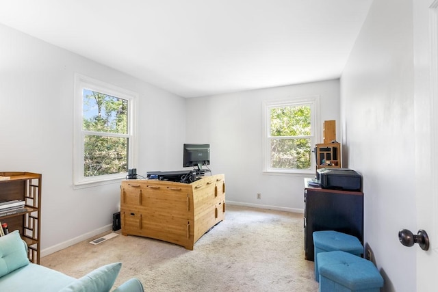 office featuring light colored carpet