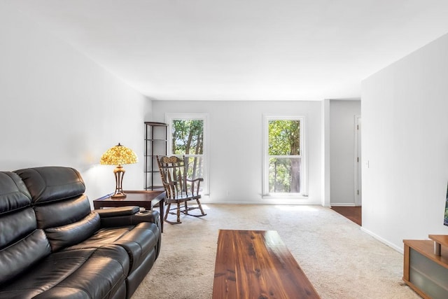 living room featuring light colored carpet