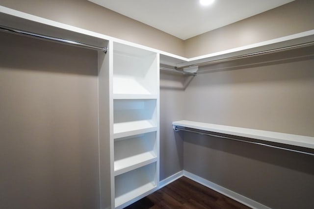 spacious closet with dark hardwood / wood-style flooring