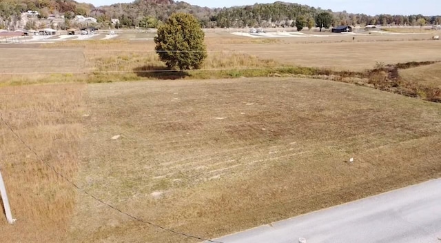 384 Duck Blind Rd, Clifton, TN 38425