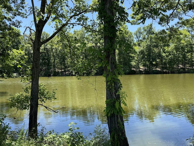 384 Duck Blind Rd, Clifton TN, 38425 land for sale