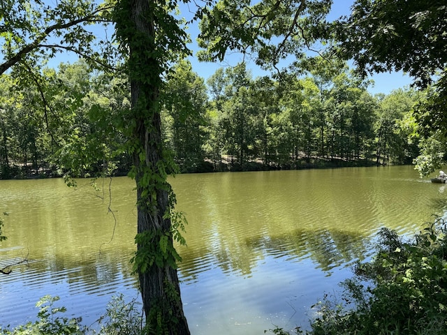 384 Duck Blind Rd, Clifton, TN 38425