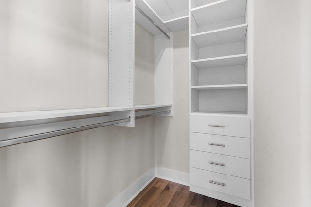 walk in closet featuring dark wood-type flooring