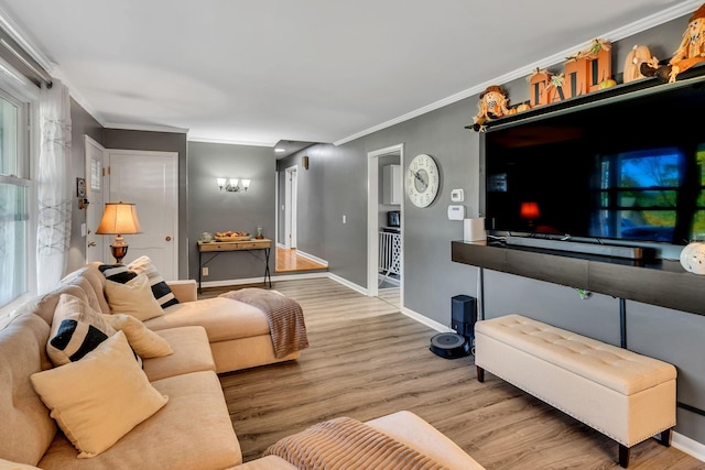 living room featuring ornamental molding and light wood-type flooring