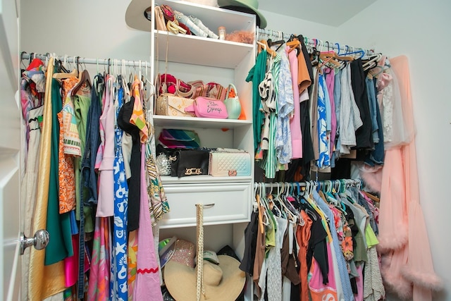 view of walk in closet