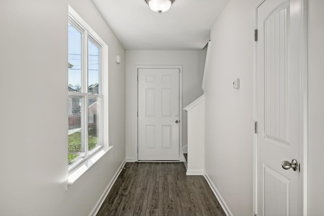 hallway featuring dark hardwood / wood-style flooring and a wealth of natural light