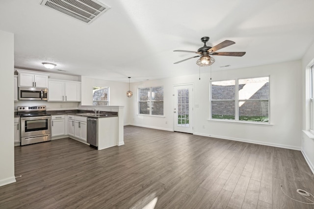 kitchen with white cabinets, appliances with stainless steel finishes, dark hardwood / wood-style floors, and a wealth of natural light