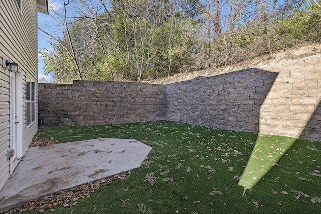 view of yard with a patio area