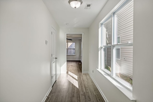 corridor with a wealth of natural light and dark hardwood / wood-style flooring