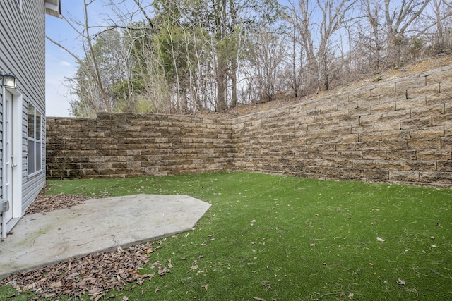 view of yard with a fenced backyard and a patio