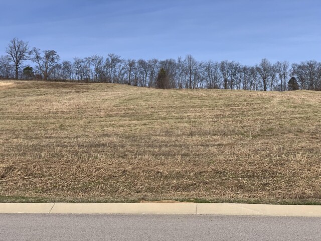0 Nashville Hwy, Columbia, TN 38401