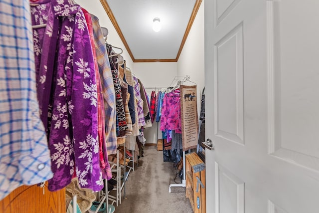 spacious closet featuring carpet