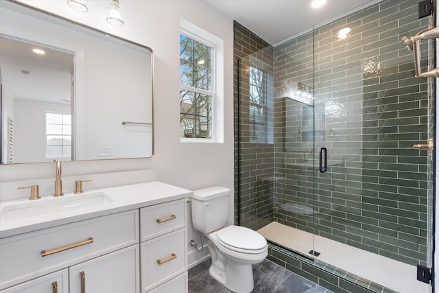 full bathroom featuring toilet, a shower stall, and vanity