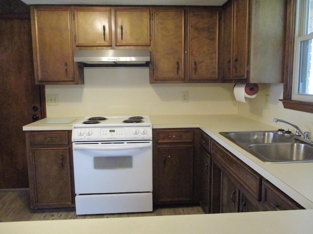 kitchen featuring white range with electric cooktop, sink, and exhaust hood