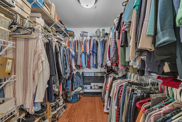 spacious closet with hardwood / wood-style floors