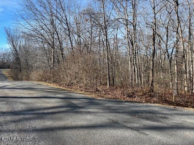 9142 Weketa Cir, Crossville, TN 38572 - photo 5