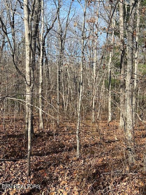 9142 Weketa Cir, Crossville, TN 38572 - photo 2